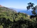 Gorgeous View Of The Ocean From Napenthe