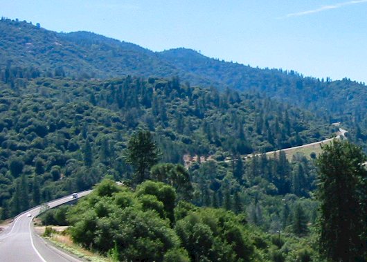 The View From Hwy. 49