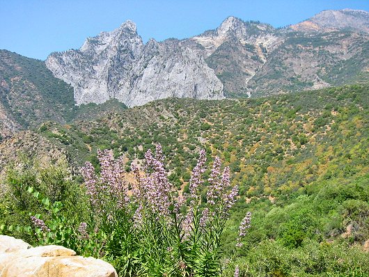 The Road Through Kings Canyon