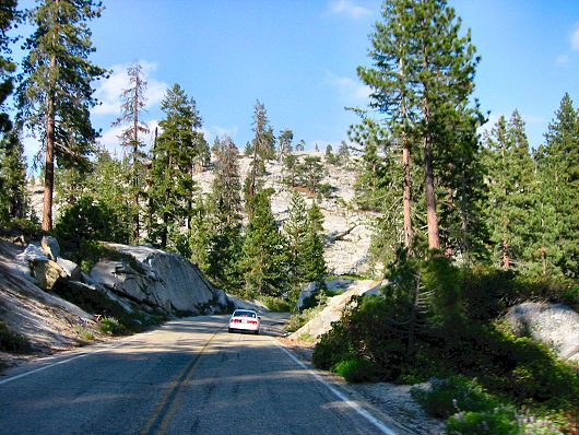 The Road Through Sequoia National Park