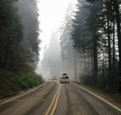 A Controlled Burn By The Forest Service