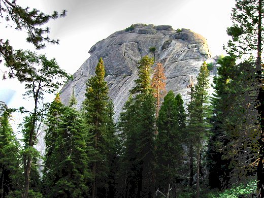 Morro Rock In Sequoia National Forest
