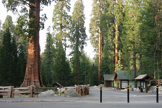 The Ranger Station In Sequoia National Forest
