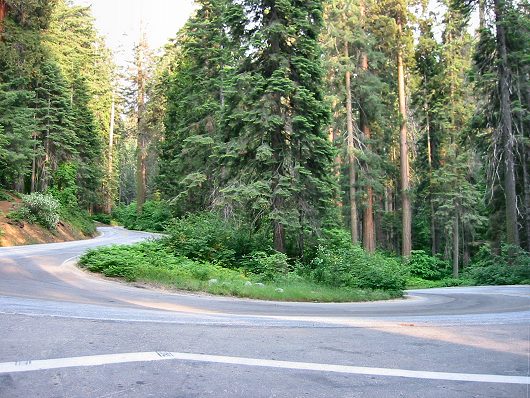 One of the Many Switchbacks