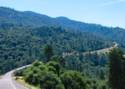 The View From Hwy. 49
