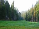 The Meadow