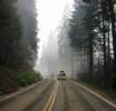 A Controlled Burn By The Forest Service