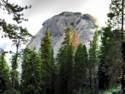 Morro Rock In Sequoia National Forest