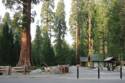 The Ranger Station In Sequoia National Forest