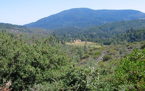 Bottle Rock Rd.