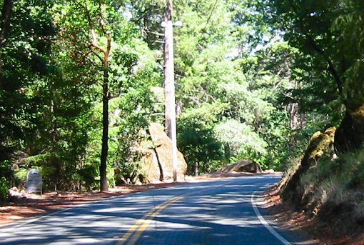 Bottle Rock Rd.