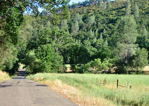 Morgan Valley Rd./Lake Berryessa Rd. Out Of The Town Of Lower Lake