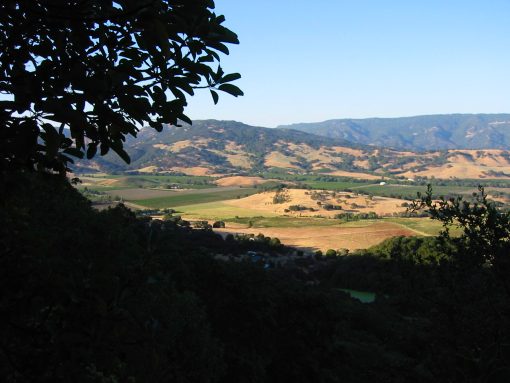 Lake Berryessa Rd.