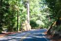 Bottle Rock Rd.
