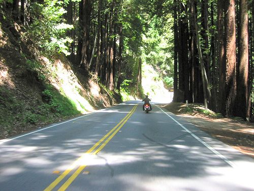 Hwy 9 Out of Santa Cruz Through The Redwoods