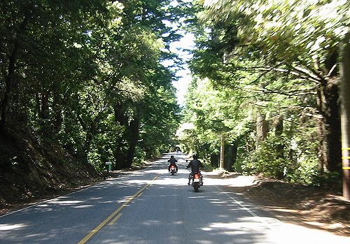 The Scenery of Skyline Blvd.