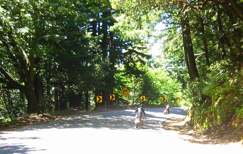 The Scenery of Skyline Blvd.