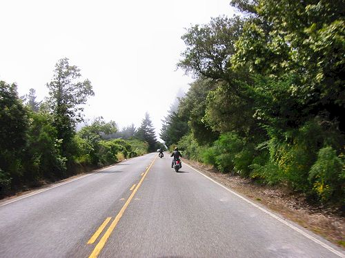 The Scenery of Skyline Blvd.