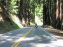 Hwy 9 Out of Santa Cruz Through The Redwoods