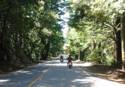 The Scenery of Skyline Blvd.