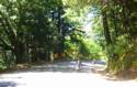 The Scenery of Skyline Blvd.