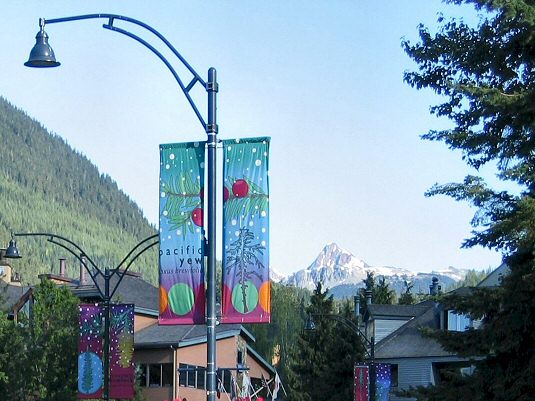 The Village of Whistler