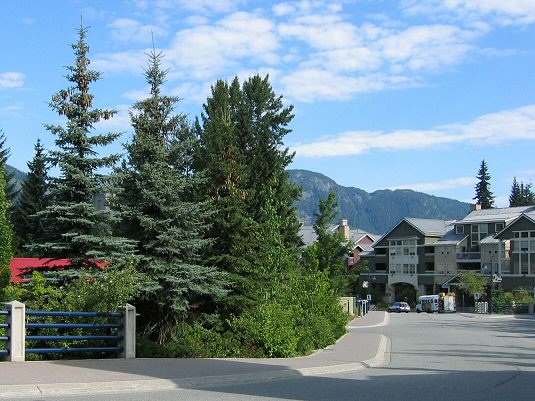 The Village of Whistler