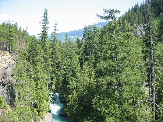 Whistler Bungee