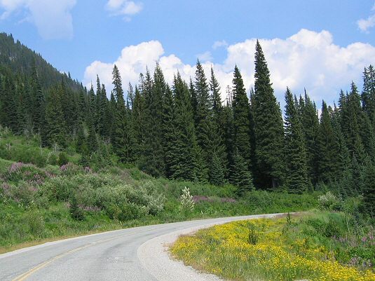 The Road To Lillooet