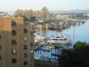 View from the Hotel Room