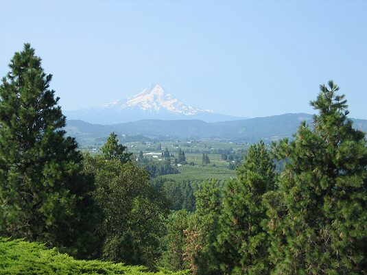 View of Mt. Hood