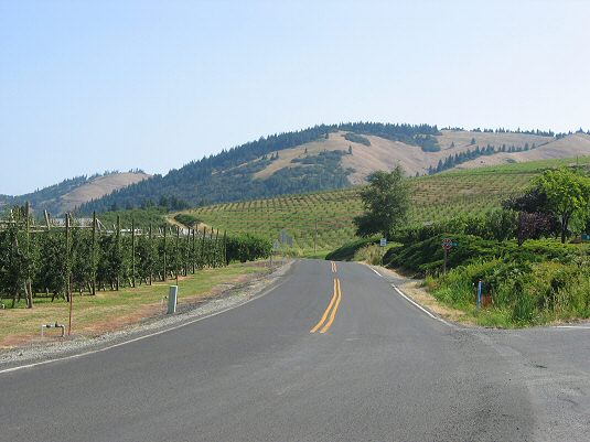 Fruit Loop in Hood River
