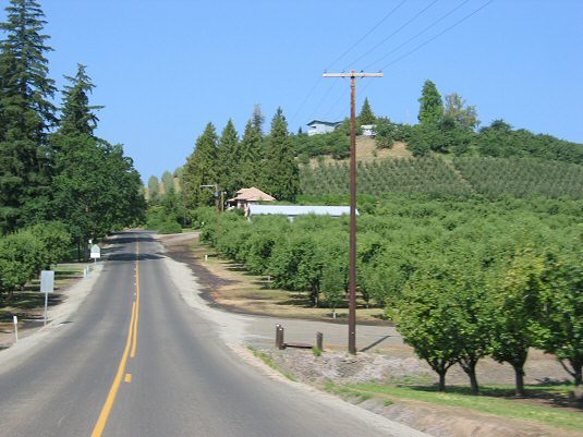Fruit Loop in Hood River