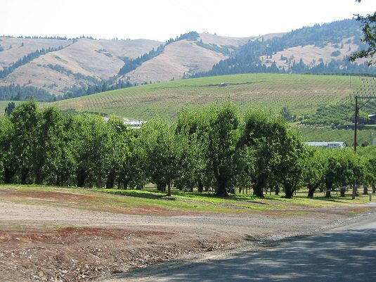 Farm Land in Hood River