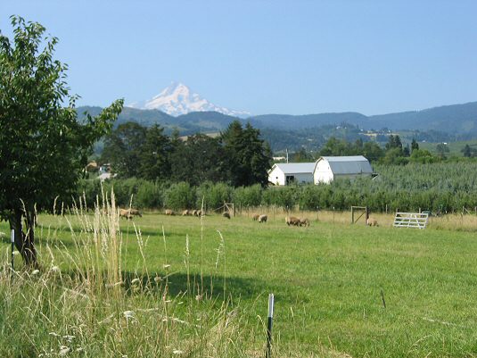 Farm Land in Hood River