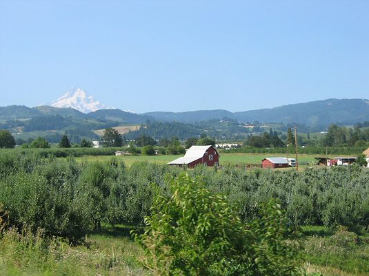 Farm Land in Hood River