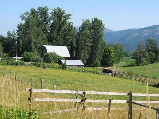 Beautiful Farm
