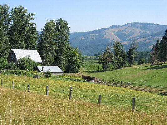 Beautiful Farm