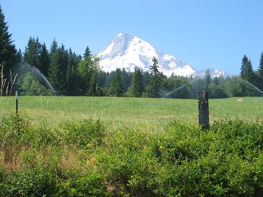View of Mt. Hood