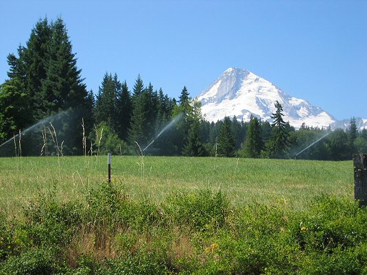 View of Mt. Hood