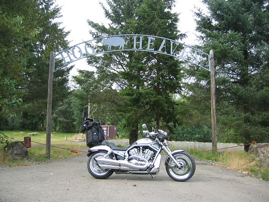 Hog Heaven
