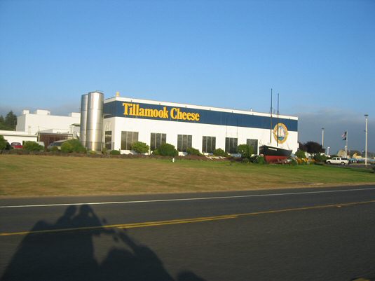 Tillamook Cheese