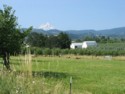 Farm Land in Hood River