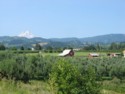 Farm Land in Hood River
