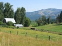 Beautiful Farm