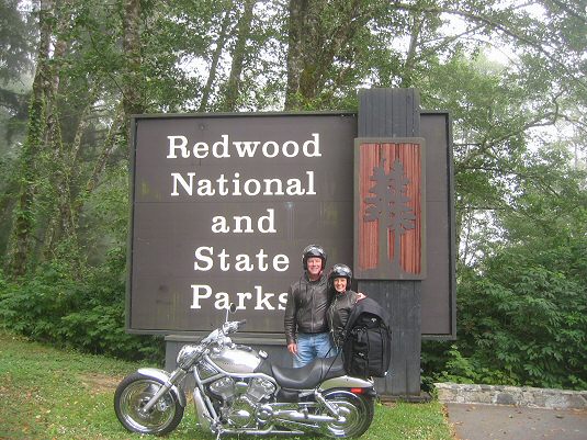 Redwood National Forest