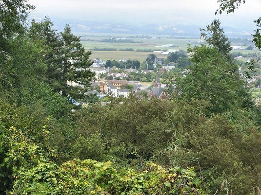 A View of Ferndale