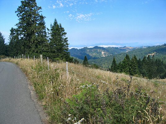 Mattole Road 