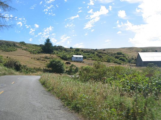 Mattole Road 