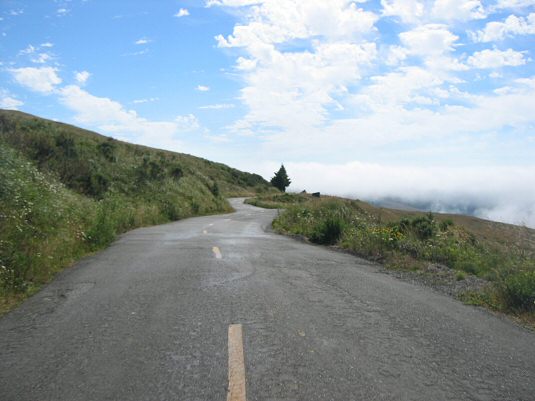 Mattole Road 